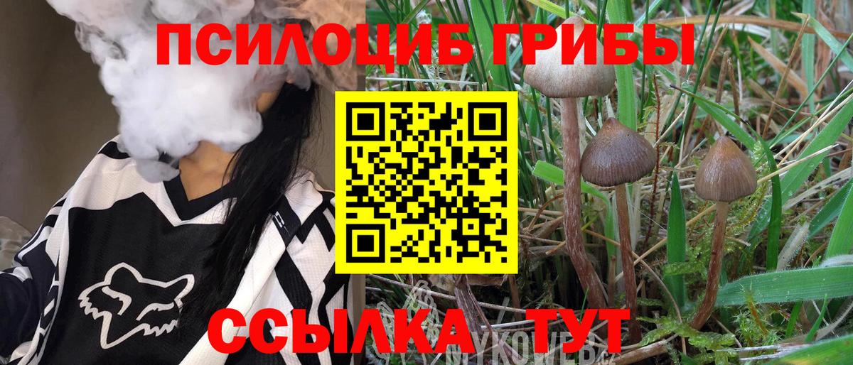 Славгород  Галлюциногенные грибы мухоморы  Вход с VPN 